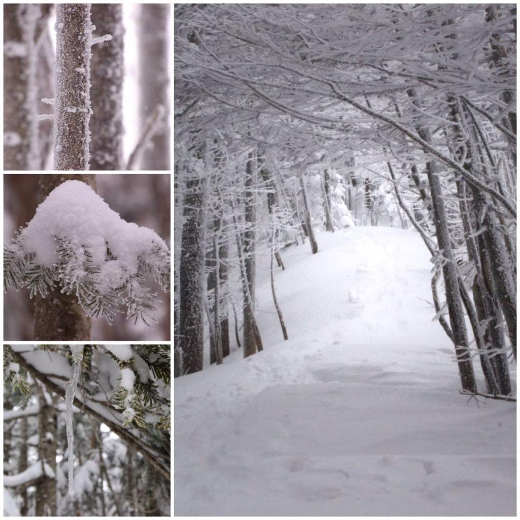 登れるか？木村の初雪山チャレンジ［img-01］