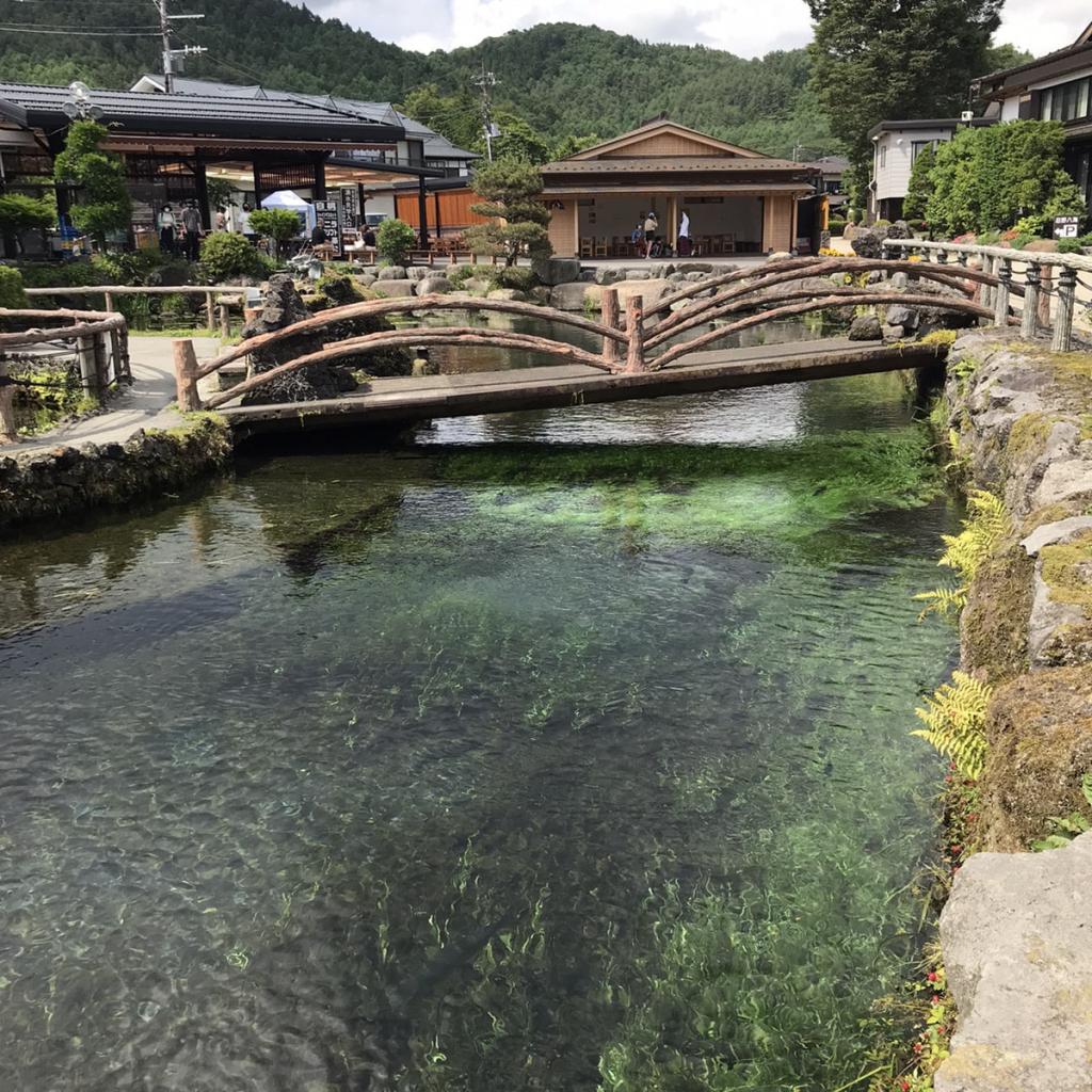 ☆相棒の紹介です☆［img-05］