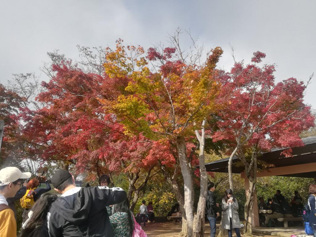 目指せ一等星！ホシノの☆～秋っぽいこと～［img-05］